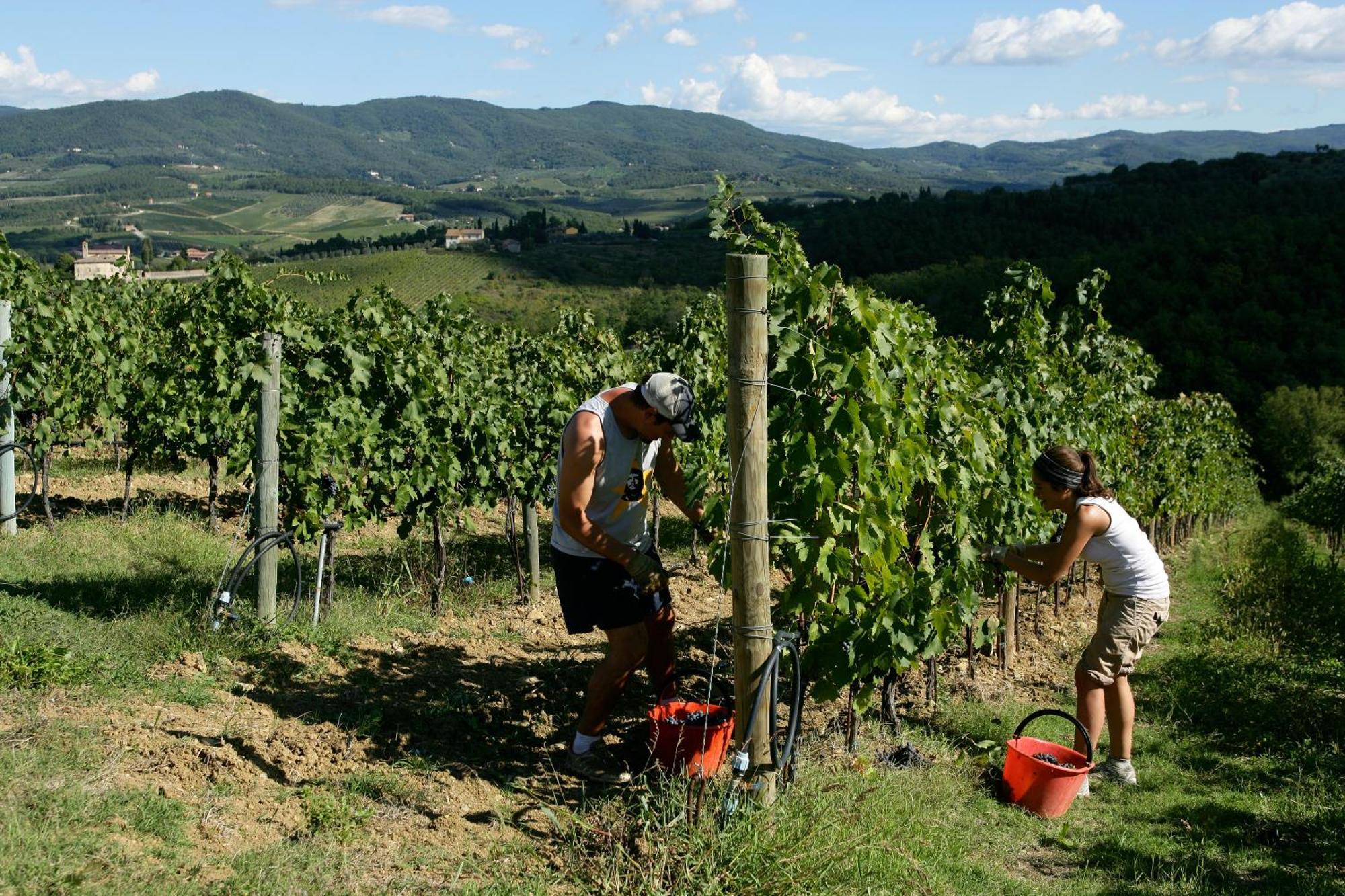 Villa Castello Di Gabbiano à Mercatale Val Di Pesa Extérieur photo