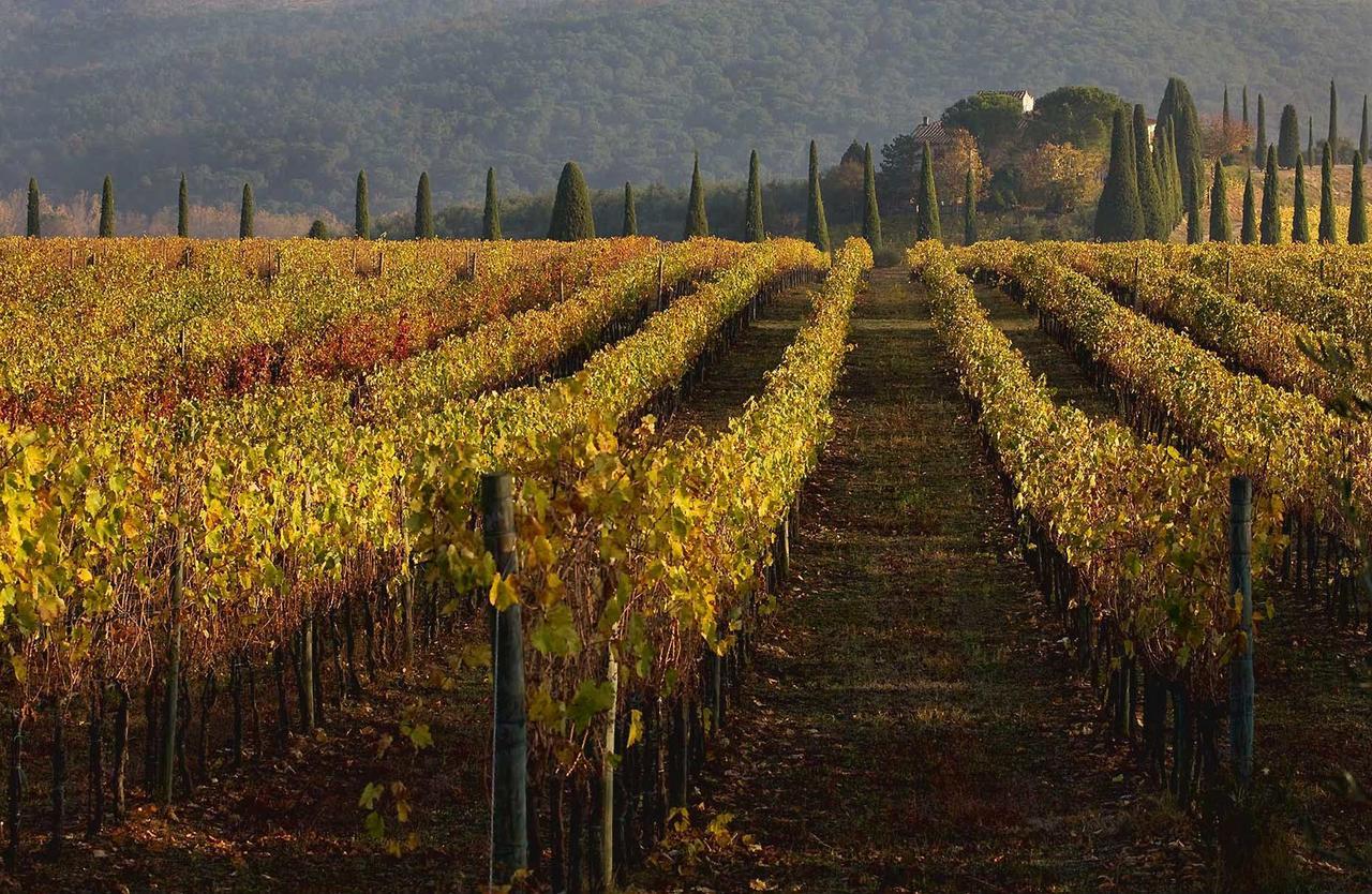 Villa Castello Di Gabbiano à Mercatale Val Di Pesa Extérieur photo